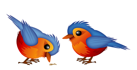 birds-sparrows-blue-birds-8731127