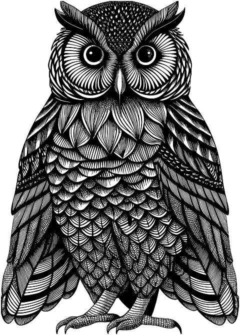 ai-generated-owl-bird-animal-8771316
