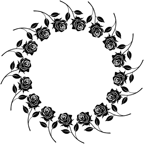 rose-flower-frame-border-plant-8815266