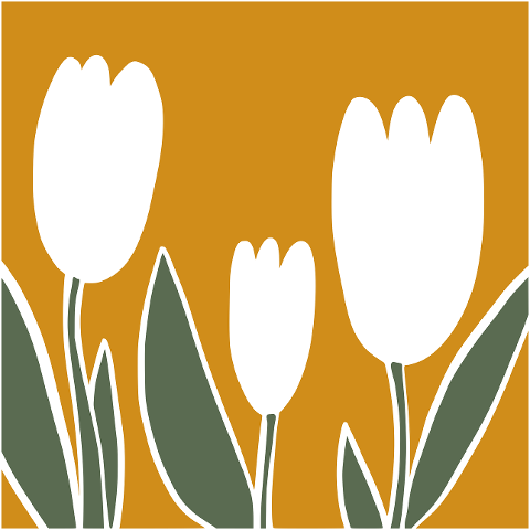 tulip-flower-plant-vintage-wavy-8772728