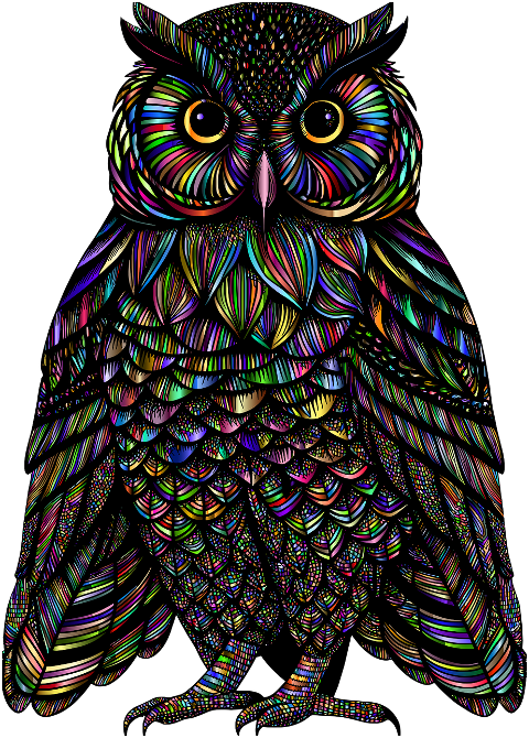 owl-bird-animal-ornithology-nature-8771317